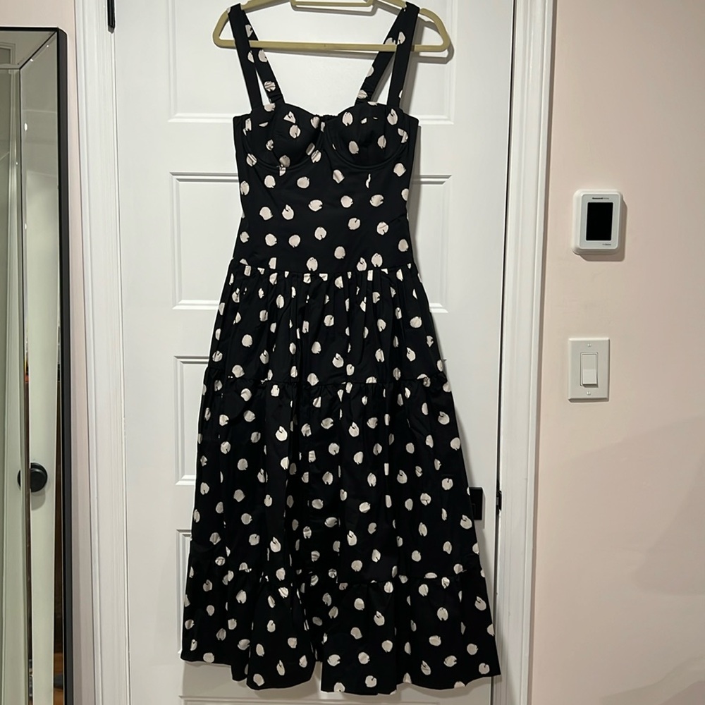NWT Cara Cara Polka Dot Santiago Midi Dress